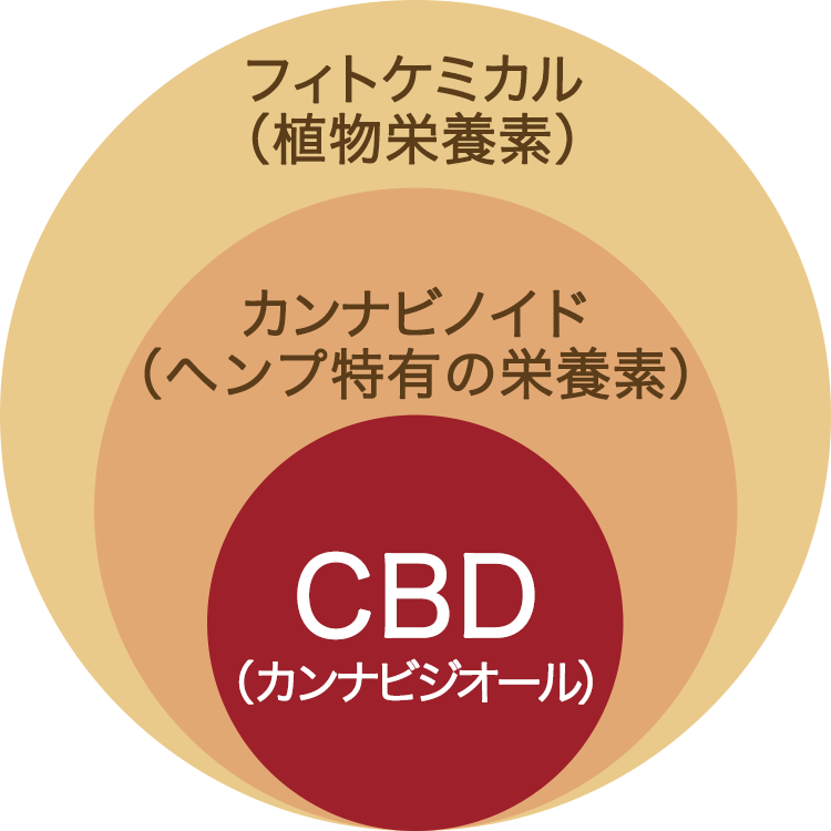 CBDの図