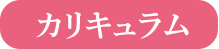 カリキュラム